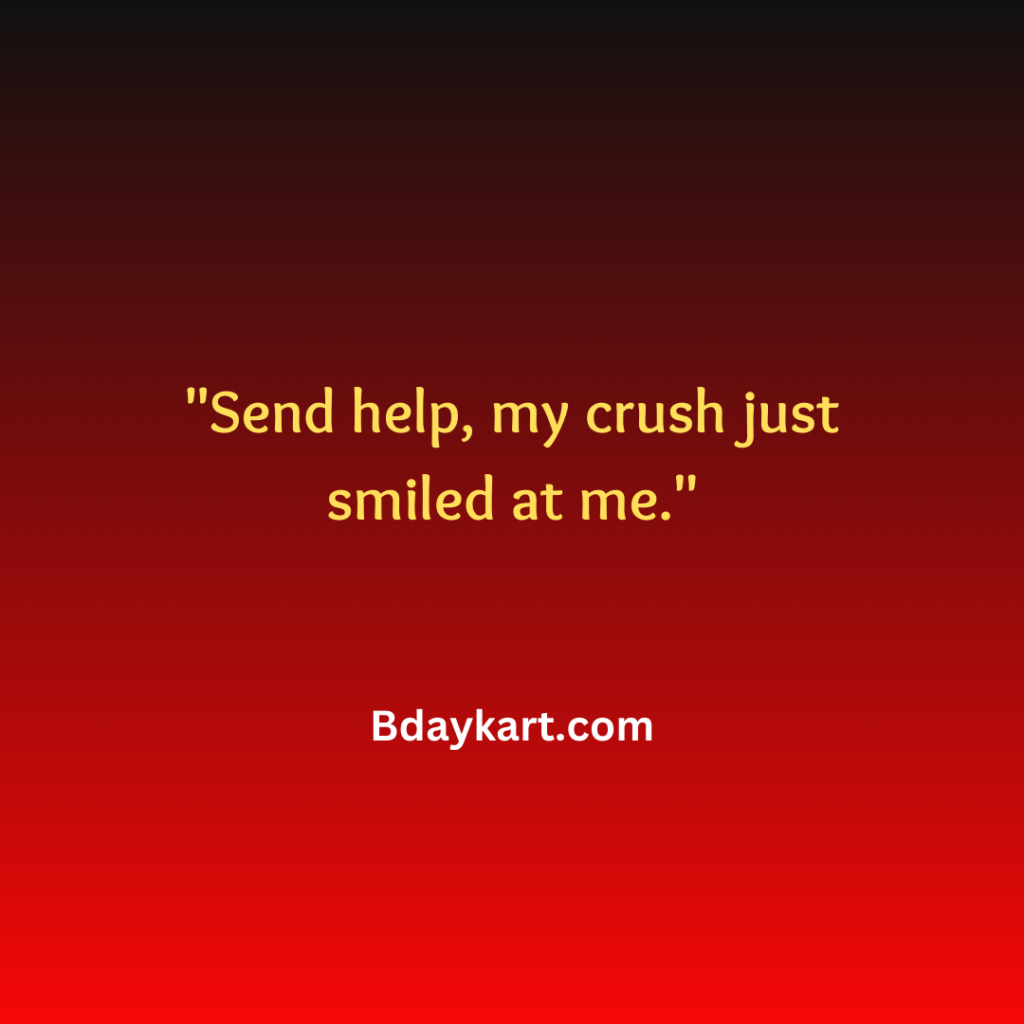 Funny Captions for Crush