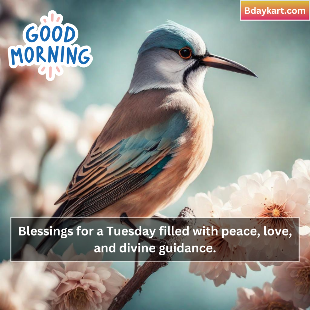 Tuesday Blessings and Prayers